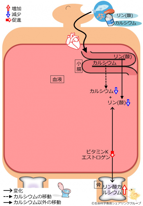 04409.jpg