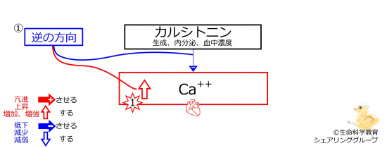HyperCaBeforeBasicFeedbackToCT-JPN.jpg