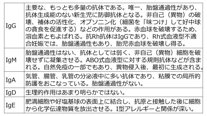 免疫グロブリンの生化学.jpg
