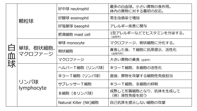 WBCclassificationTable-Jpn.jpg