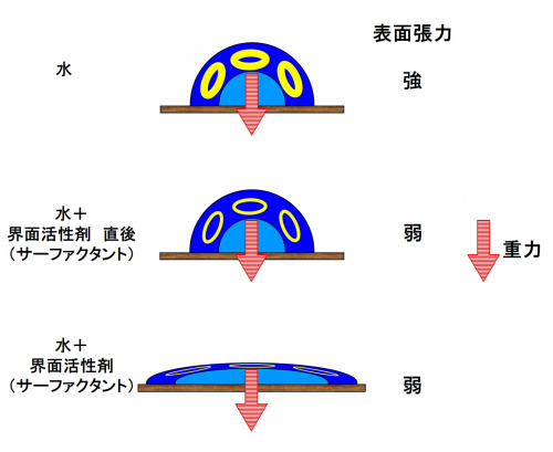 サーファクタント.jpg