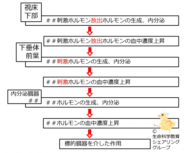 04627.jpg