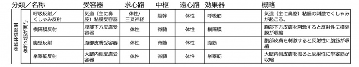 体幹の筋が関与する反射.jpg
