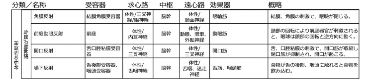 脳神経が関与する反射.jpg