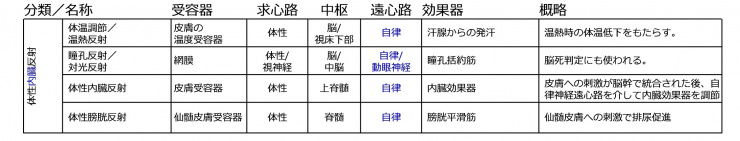 体性内臓反射.jpg