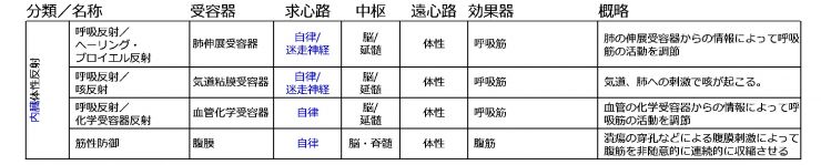 内臓体性反射.jpg