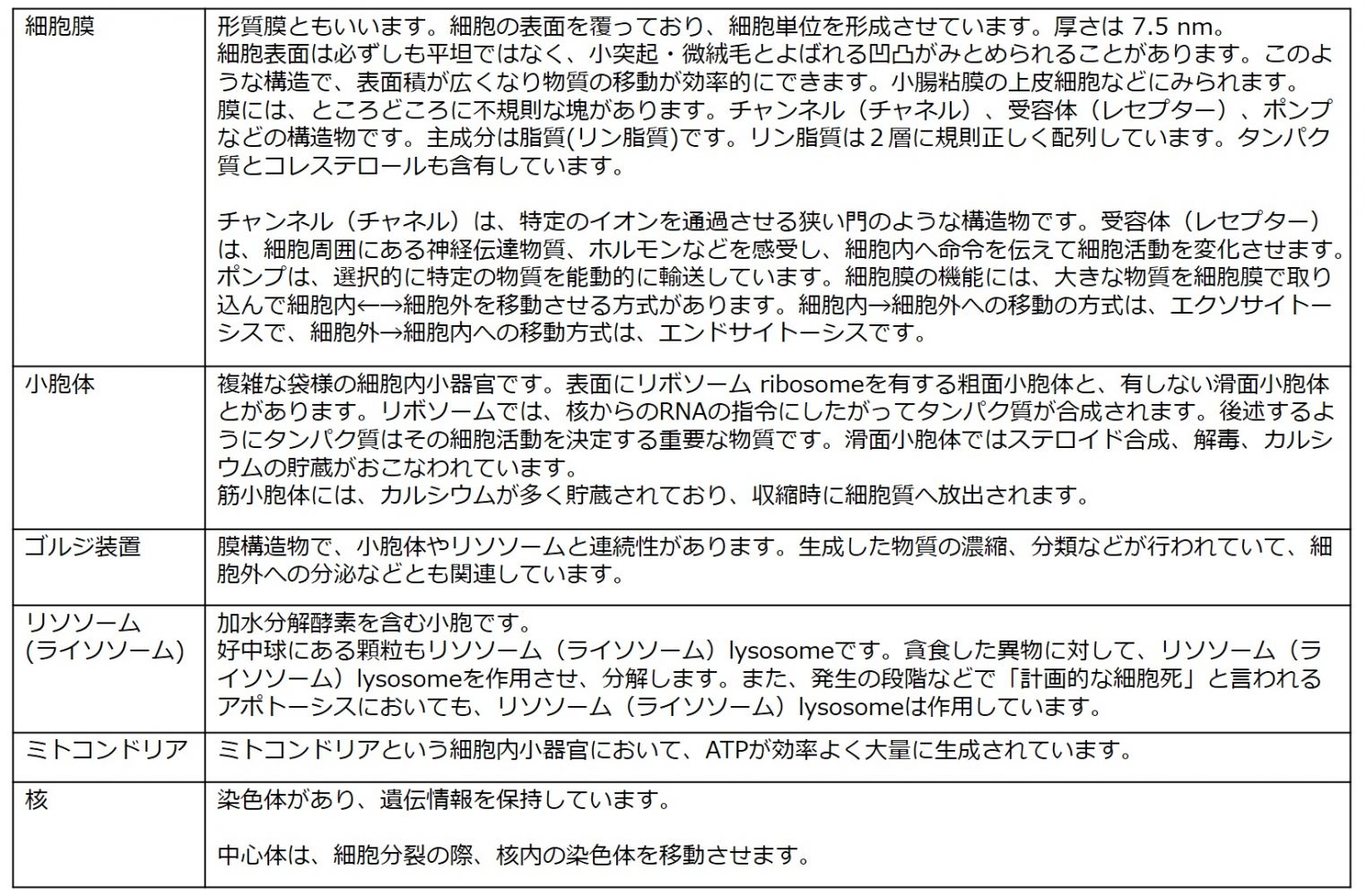 細胞内小器官まとめ表.jpg