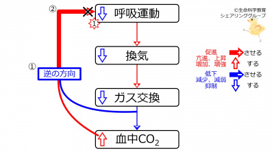 DecVentilationCO2WithFeedback.jpg