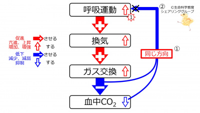 IncVentilationCO2WithFeedback.jpg