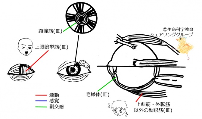 03Jap最新.jpg