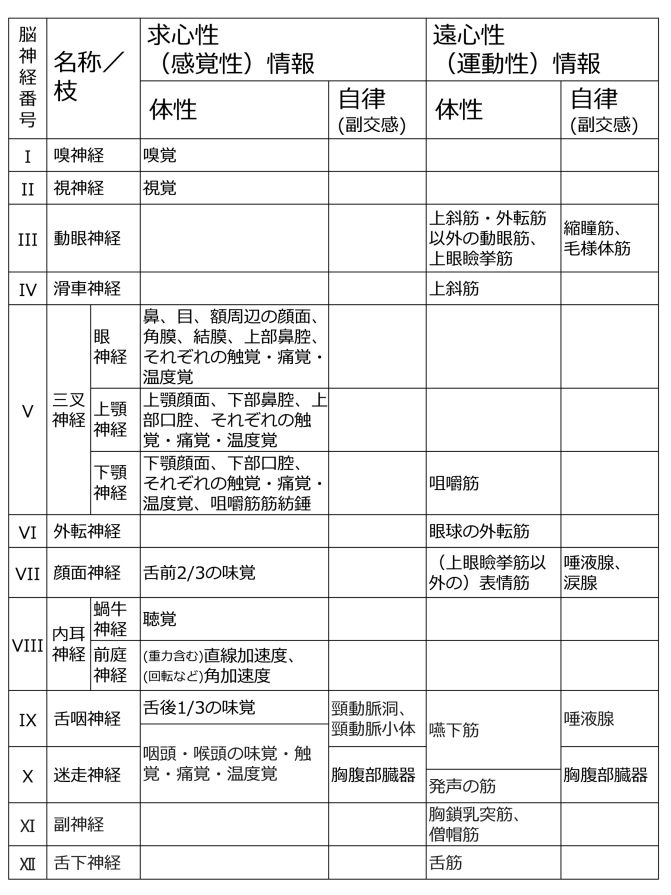 CranialNervesBasicTableJpn.jpg