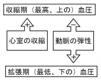 03005.jpg