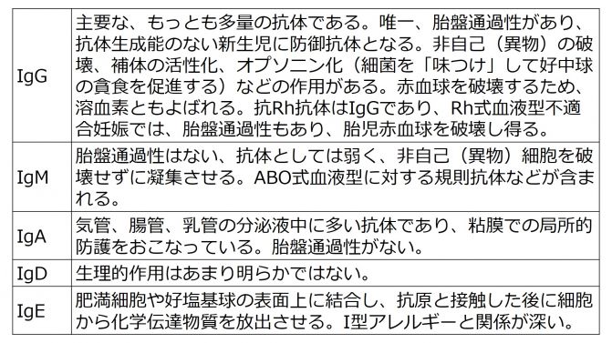 免疫グロブリンの生化学.jpg