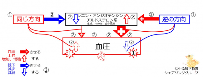 RAAbasicControlSummary.jpg