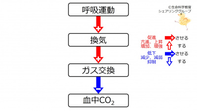VentCO2.jpg