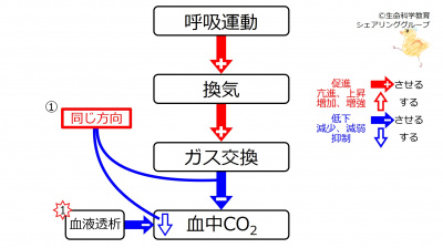 DecCO2.jpg