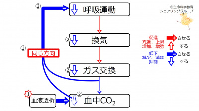 DecCO2Response.jpg