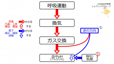 DecPh.jpg