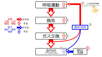 DecPhResponse.jpg