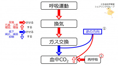 IncCO2.jpg