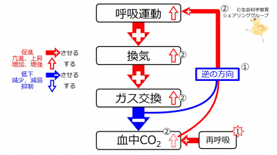 IncCO2Response.jpg