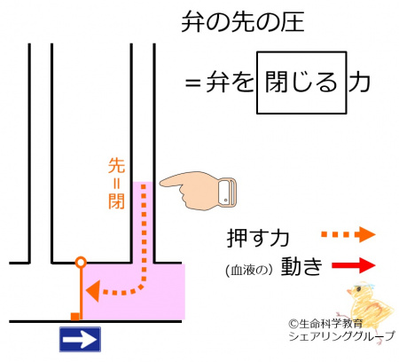 Downside-valve-pressure.jpg