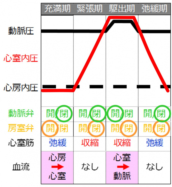 弁の動きのまとめ.jpg