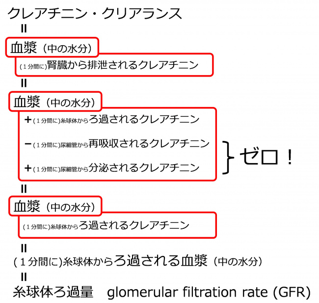 CreatinineClearanceIndicatesGFR.jpg