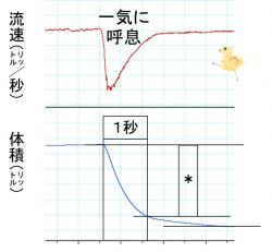 ./images/クイズFEV1.jpg