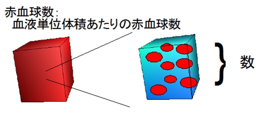 赤血球数.jpg