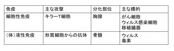 LymphocytesBcellTcallTable-Jpn.jpg