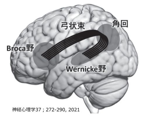 Language-area-localization-basic-Jpn.jpg