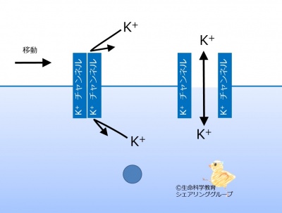 Kchannel_open_close_ja.jpg
