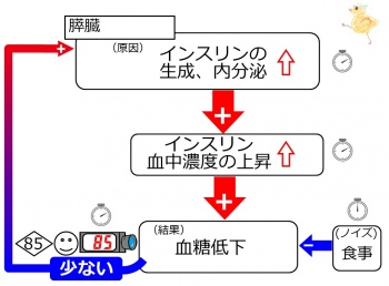 インスリンの正常反応.jpg