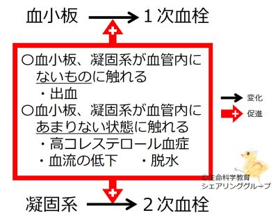 異常血栓の原因.jpg