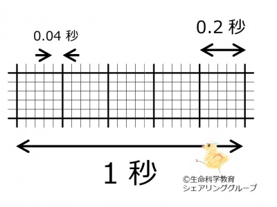 Electrocardiogram horizontal axis.jpg