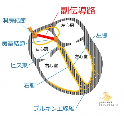 短縮.jpg