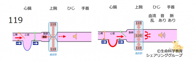 BPmeasurement119.jpg