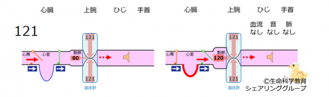 BPmeasurement121.jpg