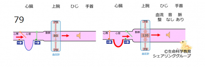 BPmeasurement79.jpg