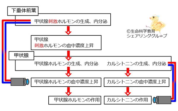 04619.jpg