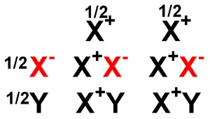 01000.jpg