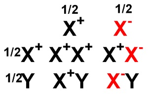 01002.jpg