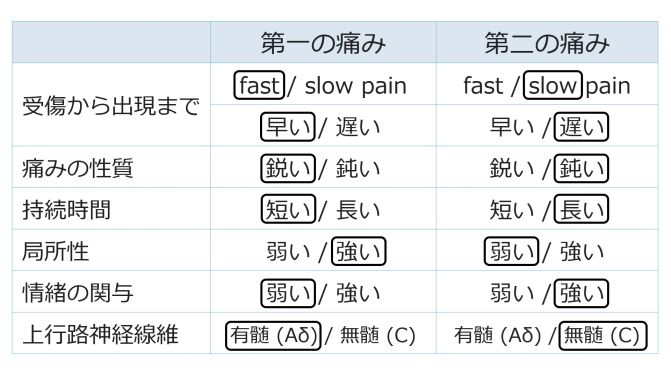 PainSummaryBasic-Jpn.jpg