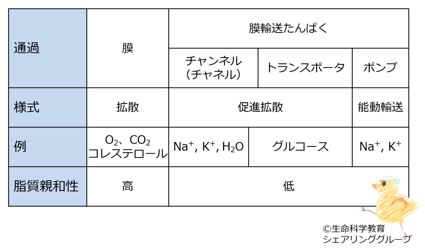 Membrane transport table ja.jpg