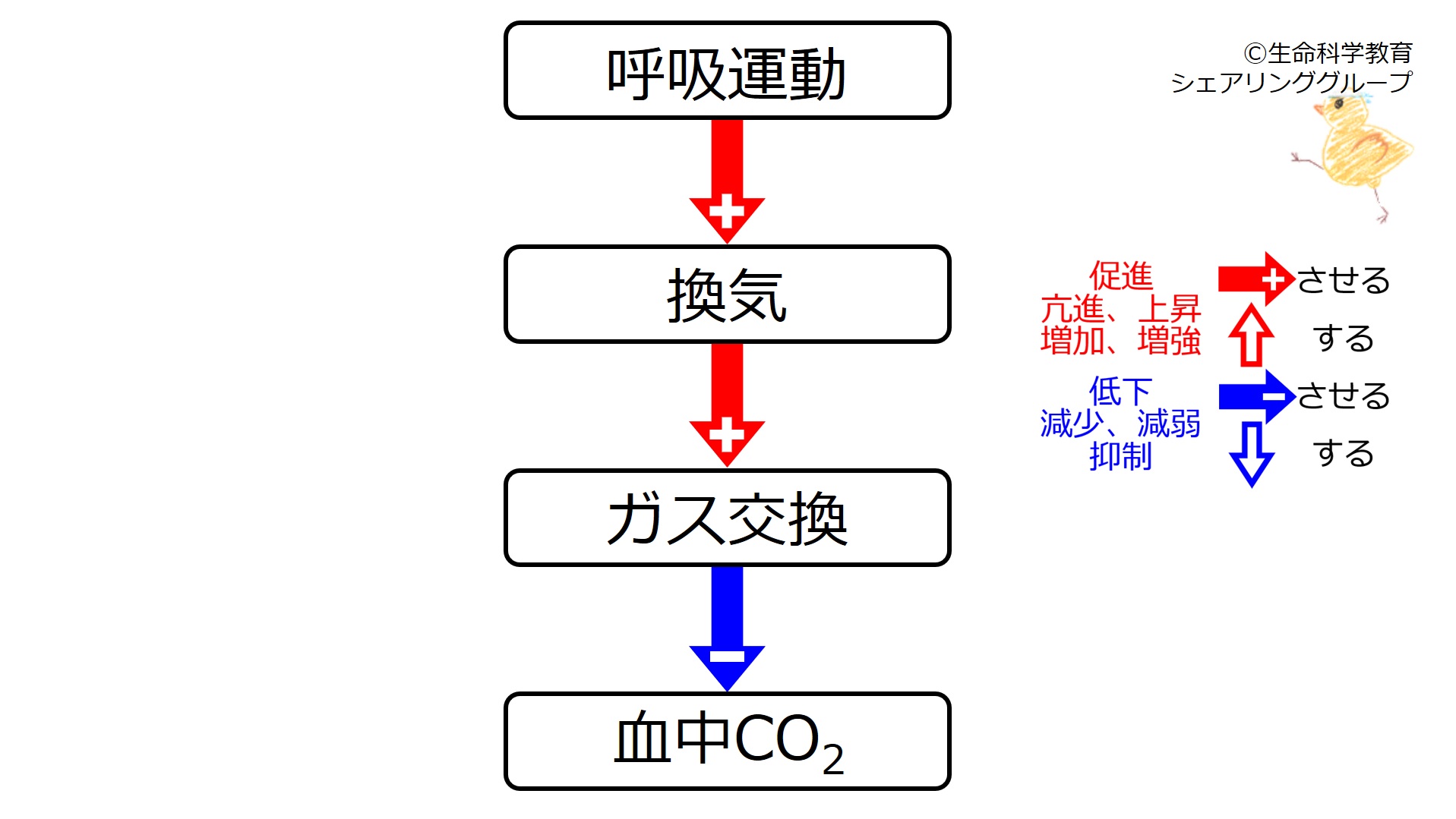 VentCO2.jpg