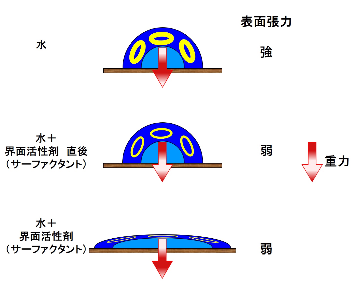 サーファクタント.jpg