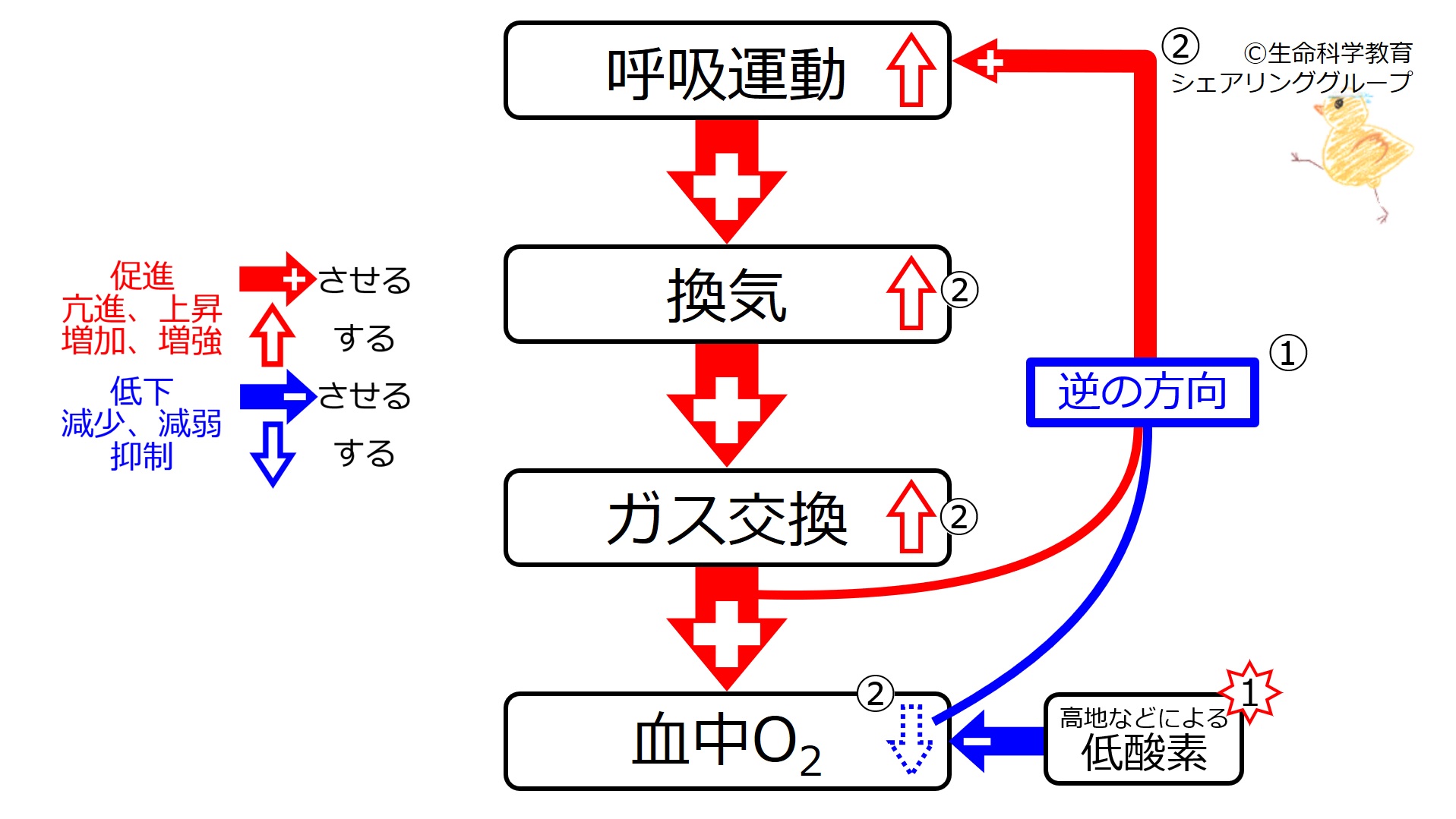 DecO2Response.jpg