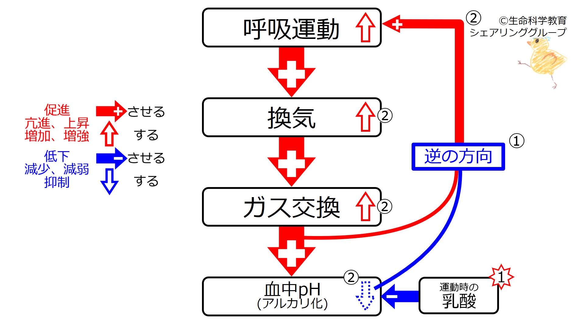 DecPhResponse.jpg