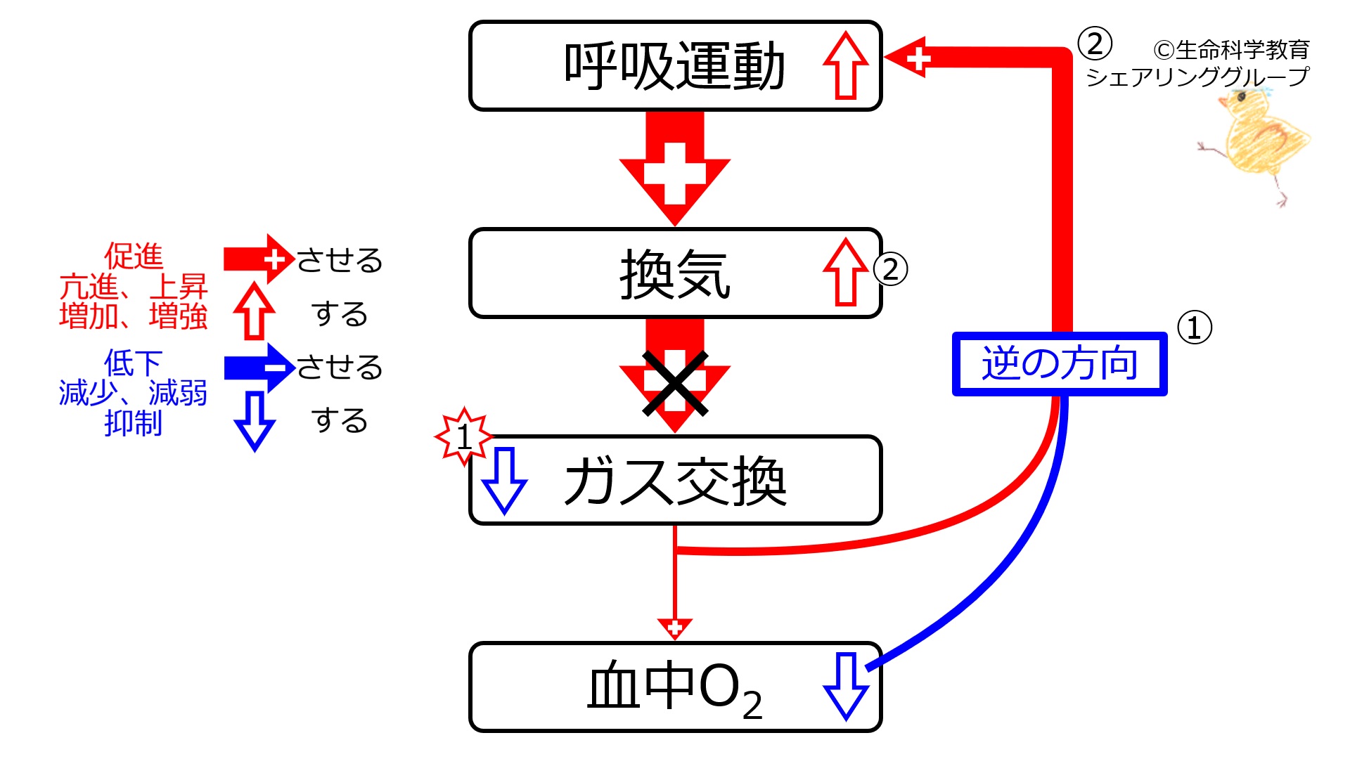 PneumoniaO2.jpg